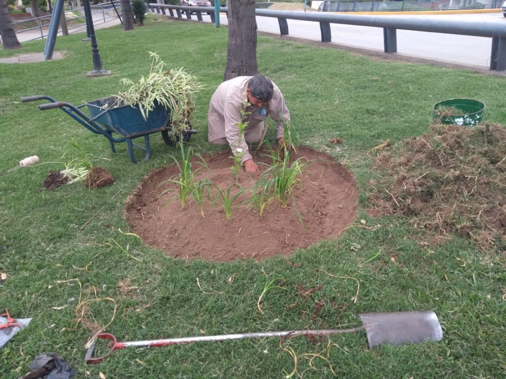 La guardia urbana sigue sumando trabajo en los espacios verdes.