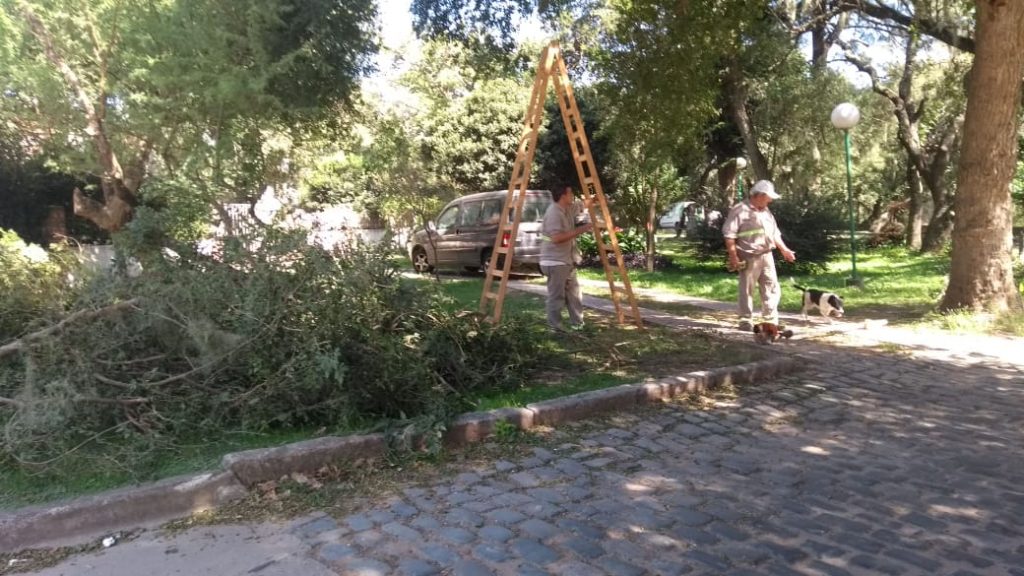 Trabajos de la guardia urbana.