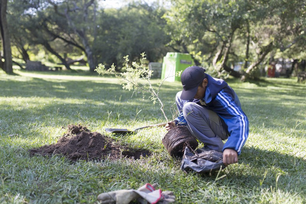 Plan de reforestación en el Parque Tau.