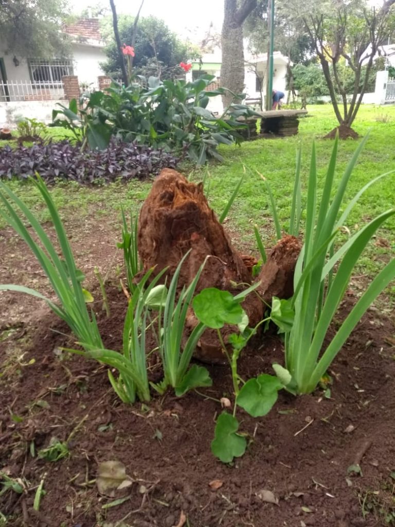 La Guardia Urbana sigue sumando trabajo en los espacios verdes