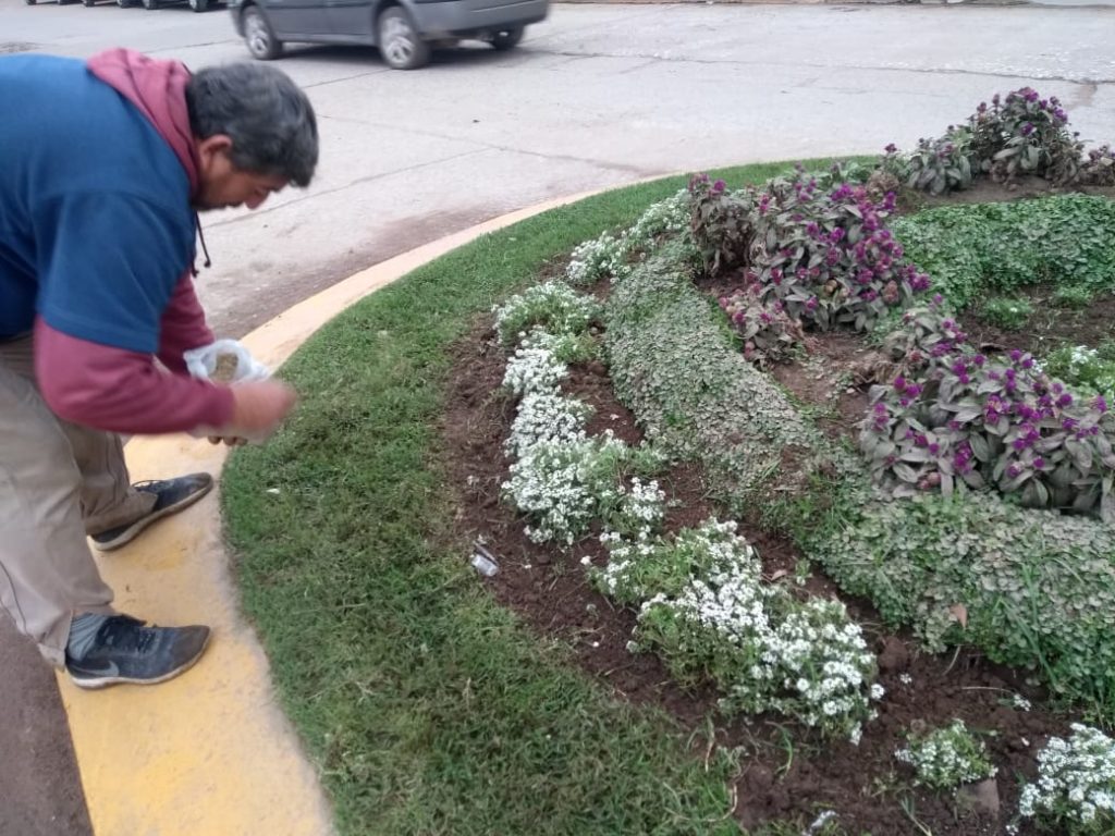 La Guardia Urbana prosigue con el mantenimiento de espacios verdes.