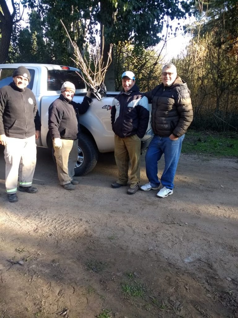 Trabajos de reforestación del Aero Club Bell Ville.