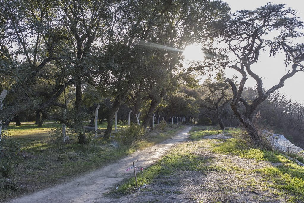 Trabajos en el Vivero Municipal.