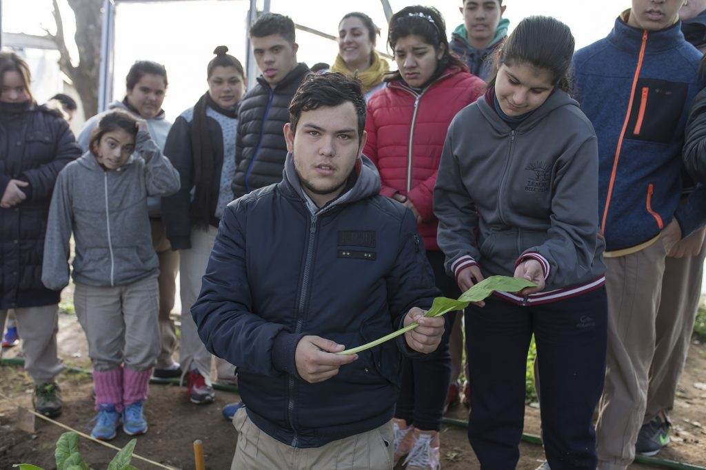 El verde se puso de moda en pleno invierno en el Instituto María Montessori.