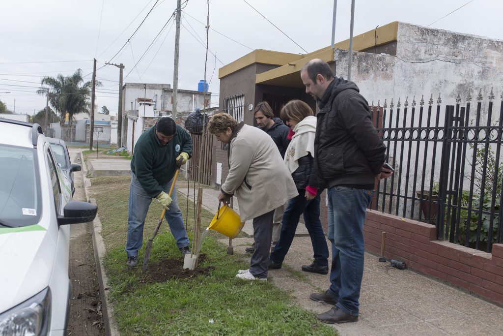 El Plan Municipal de Forestación 2030 en los barrios.