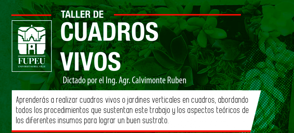 Taller de jardinería con la modalidad “Cuadros vivos” en la FUPEU