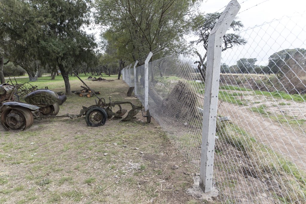 Alambrado perimetral en el Vivero Municipal.