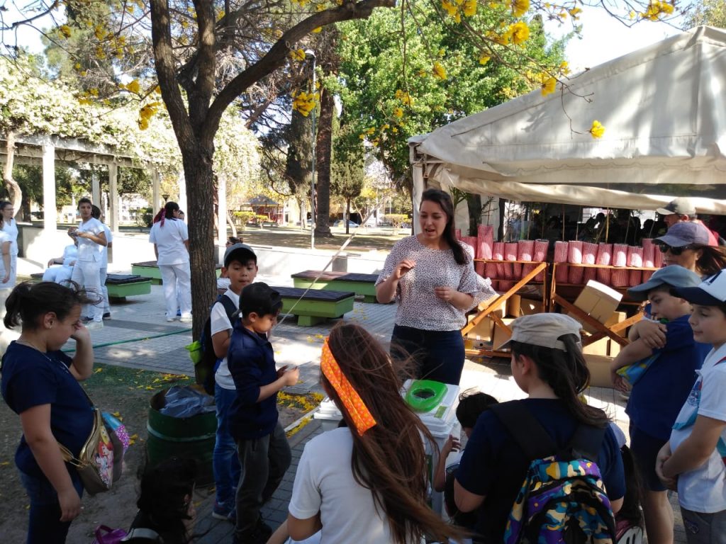 La educación ambiental en la plaza y en las escuelas.