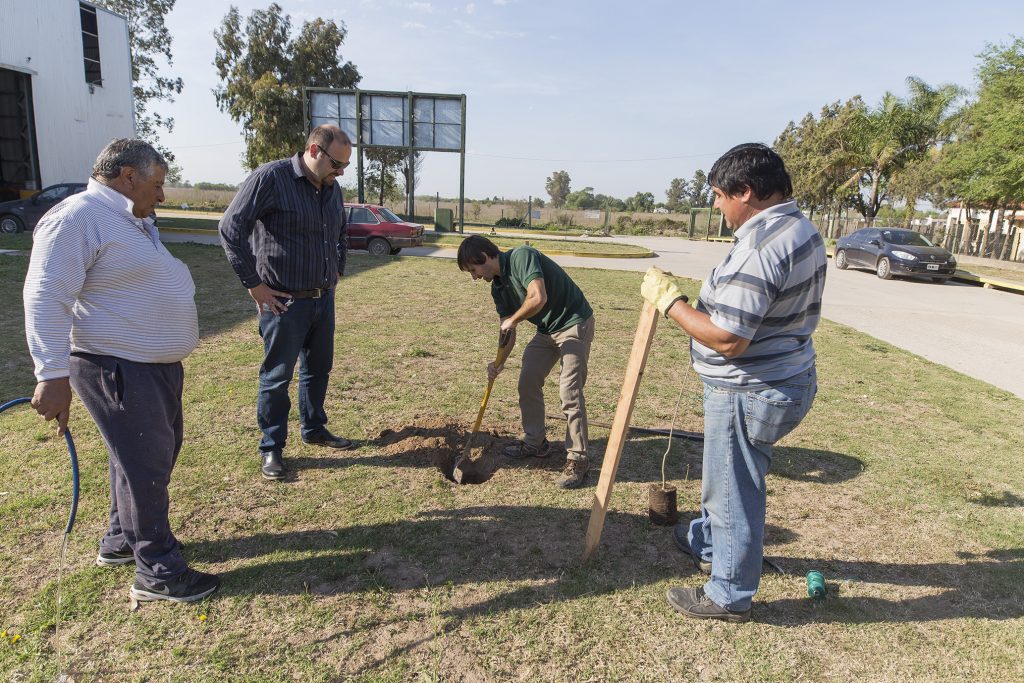  Forestación en la Planta Municipal de Separación de Residuos.