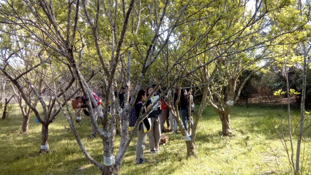 Clases prácticas de estudiantes en el Vivero Municipal.