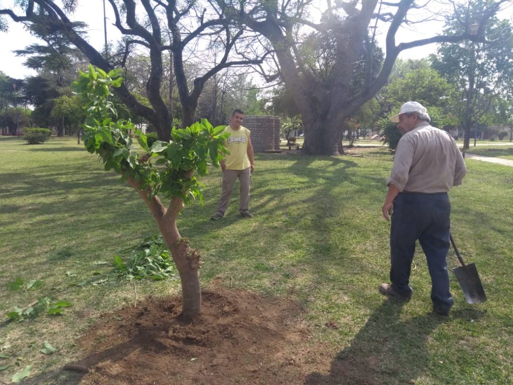 La atención municipal en lo verde.