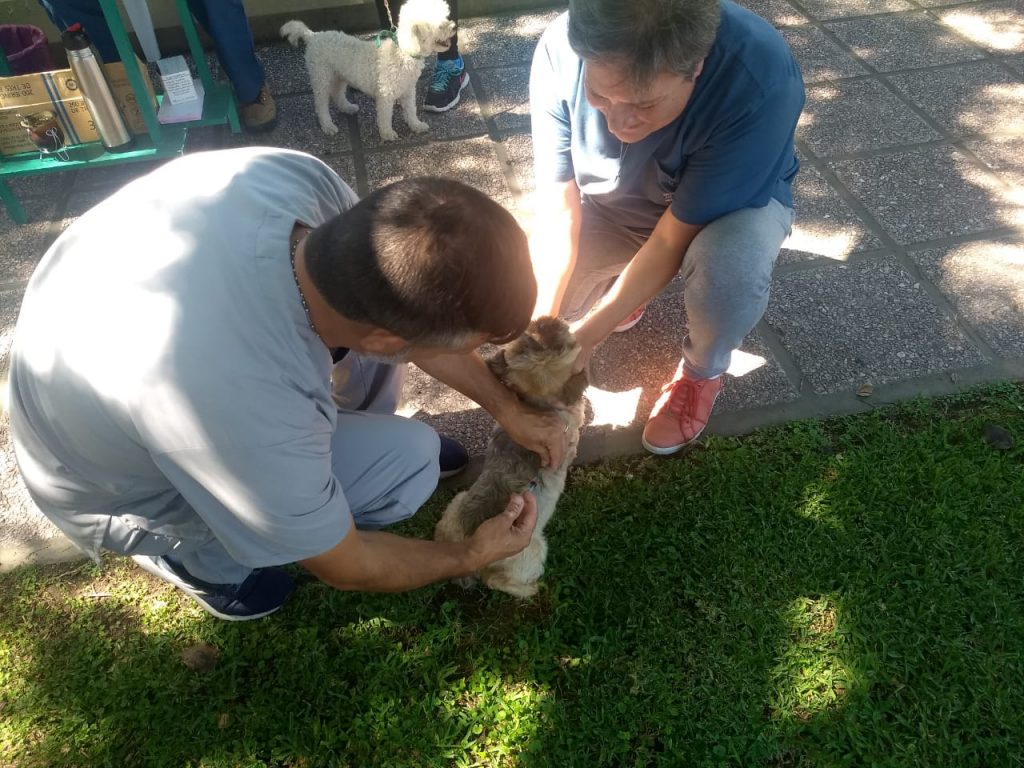 La vacunación antirrábica obligatoria se hará en los barrios