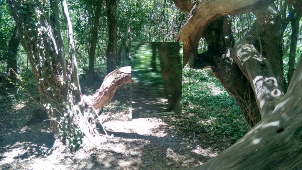 Original instalación artística por el cuidado del medio ambiente.