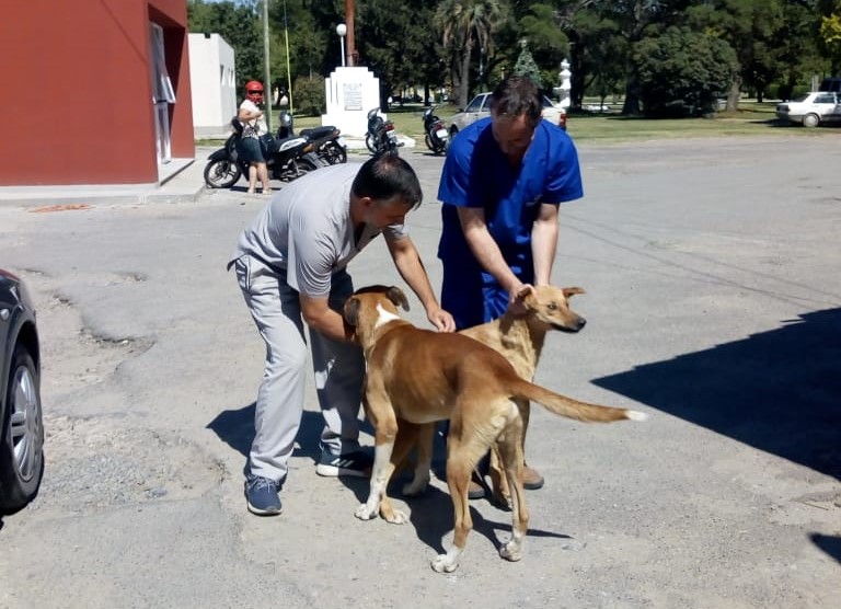 Información sobre campaña antirrábica y castraciones de mascotas.