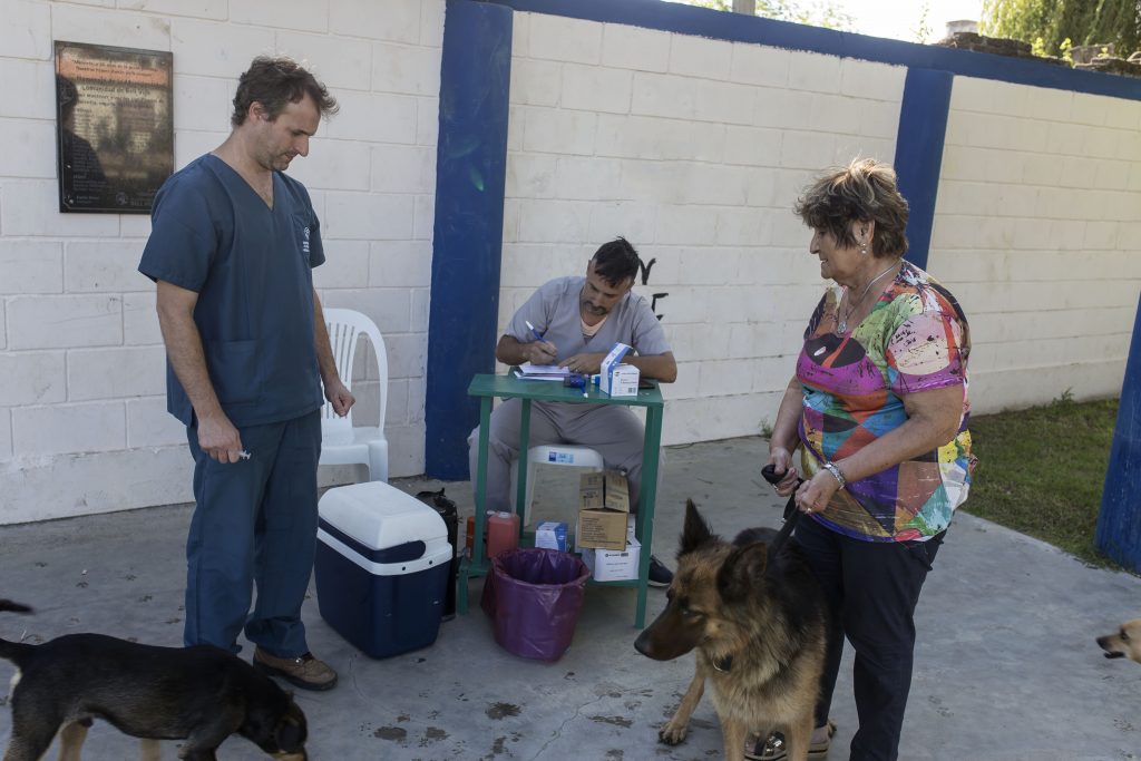 Destacado resultado de la campaña de vacunación antirrábica.