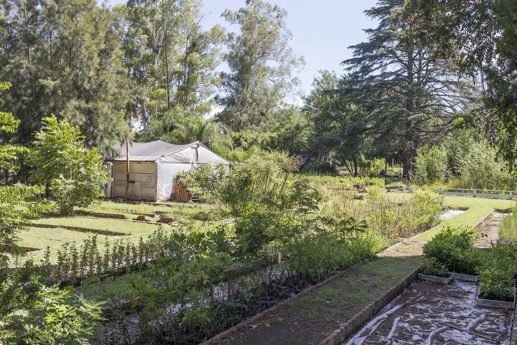 El Vivero Municipal ofrece nuevos ejemplares para forestación urbana.