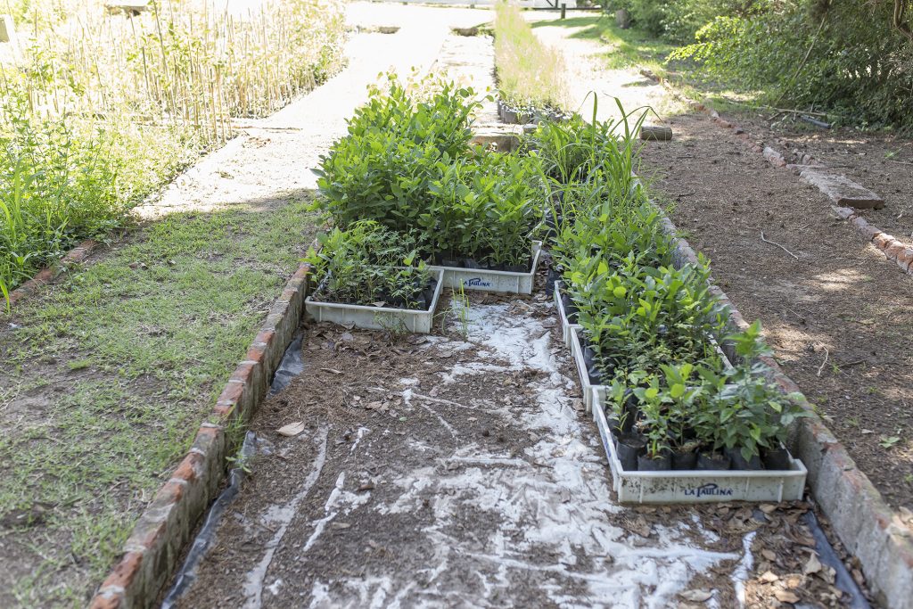 Guardería para plantas en el Vivero Municipal.