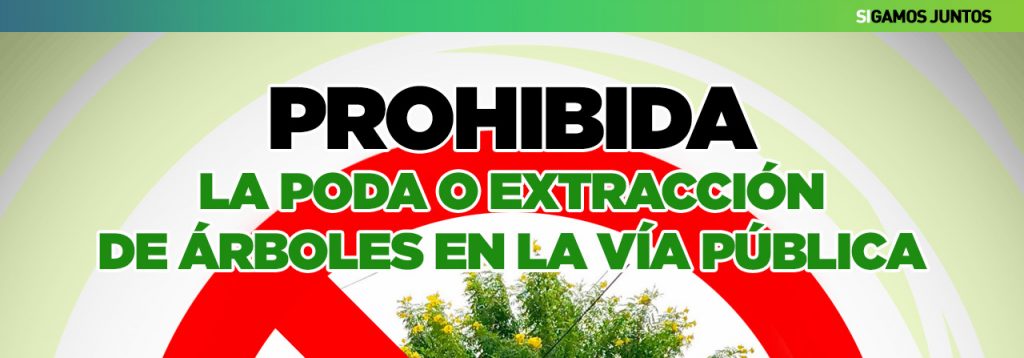 Se recuerda que está prohibida la poda del arbolado urbano.