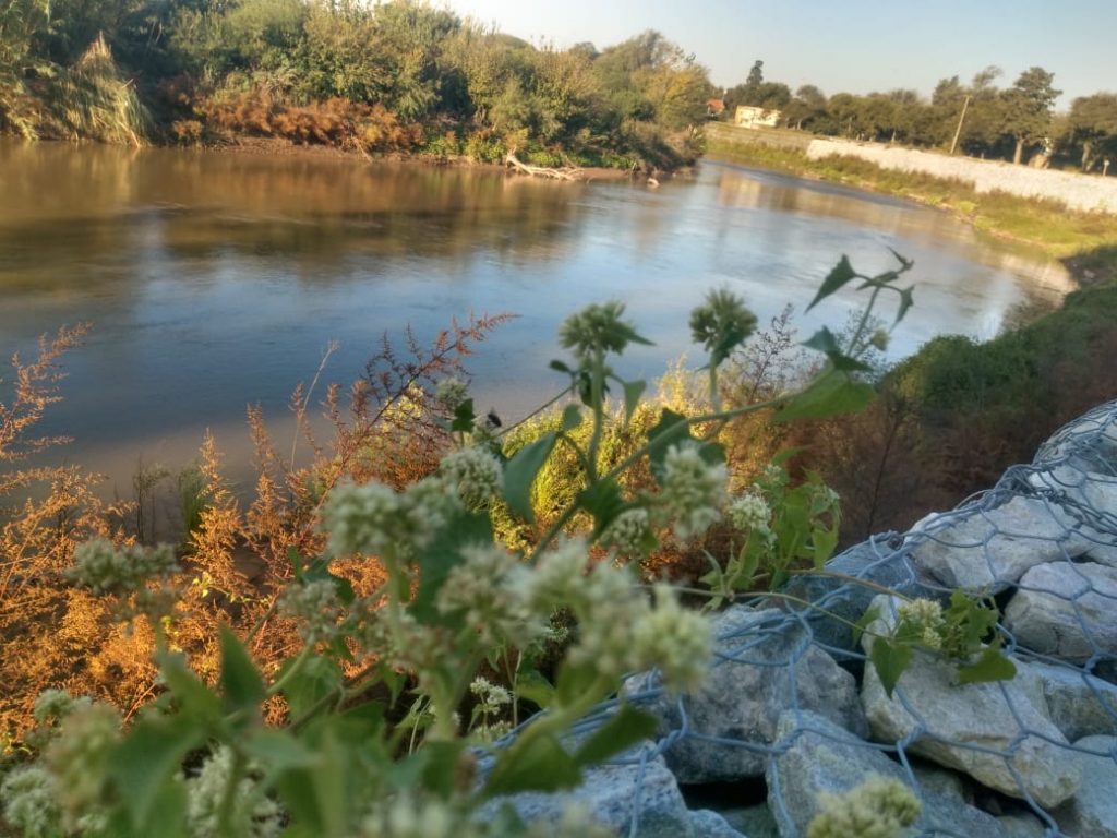 La naturaleza se despereza en el Parque Tau pese al frío.