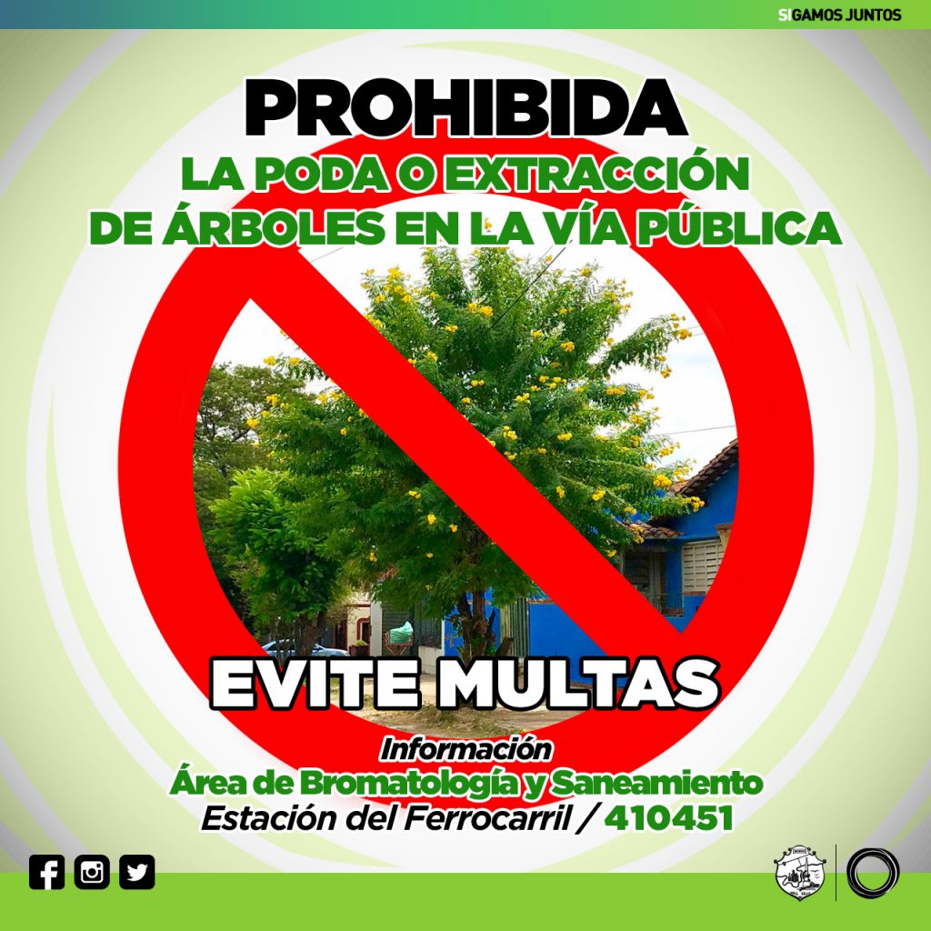 Sigue vigente la prohibición de poda del arbolado urbano.