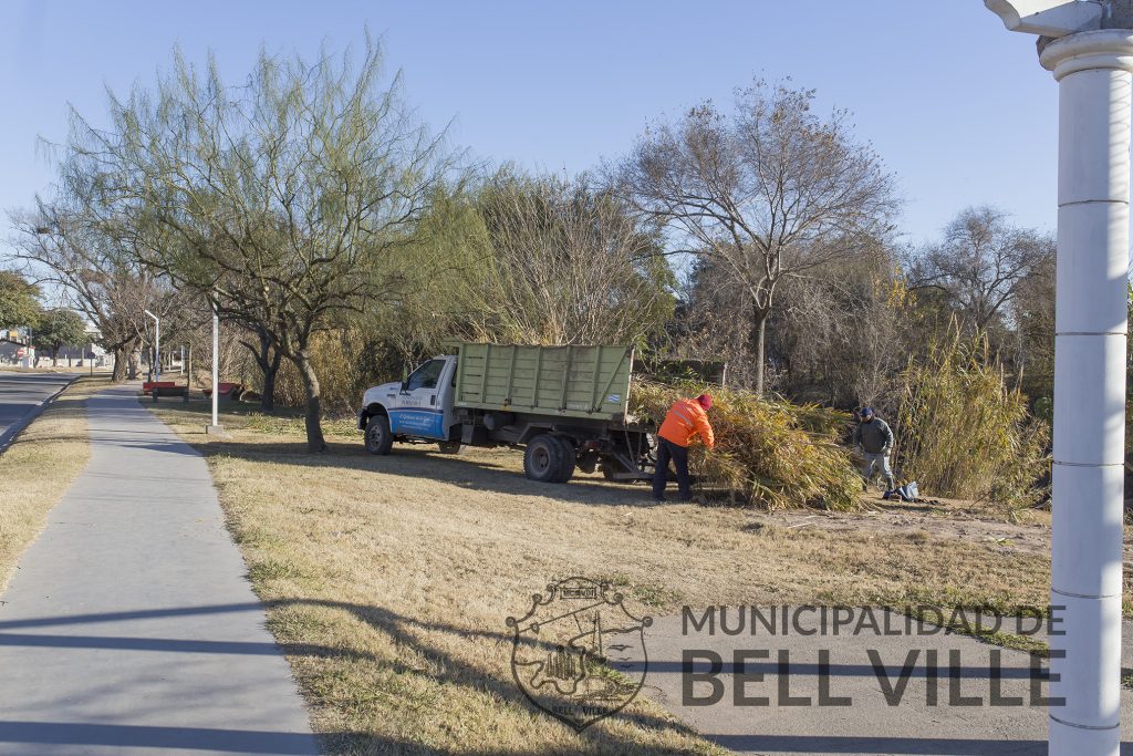 Tareas de limpieza en la costanera de avenida Faustino Molina.