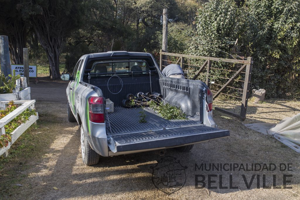 Desde el Vivero Municipal continúa la entrega domiciliaria gratuita de árboles.