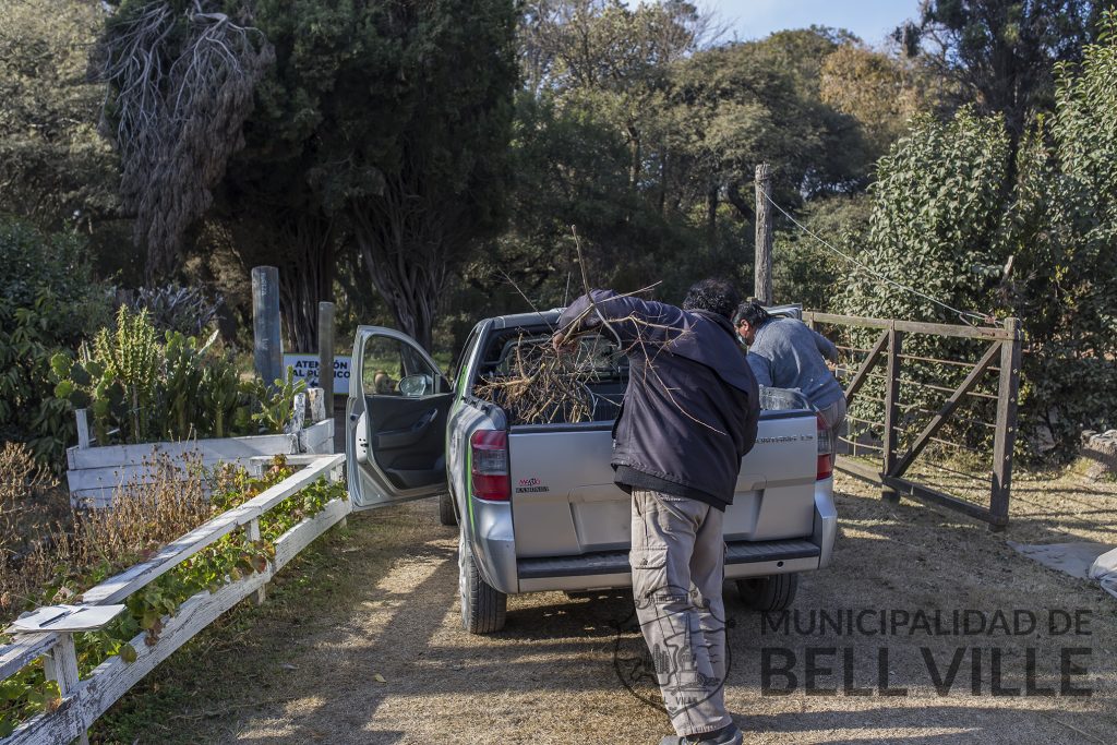 Desde el Vivero Municipal continúa la entrega domiciliaria gratuita de árboles.