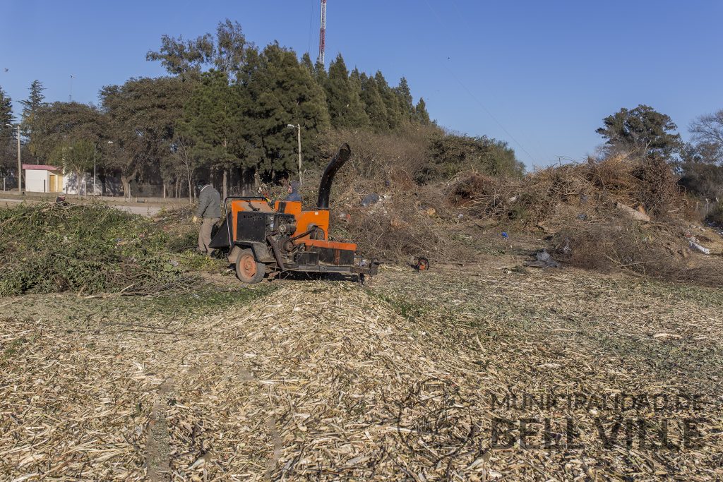 Tratamiento de restos de poda en la Planta de Separación de Residuos.