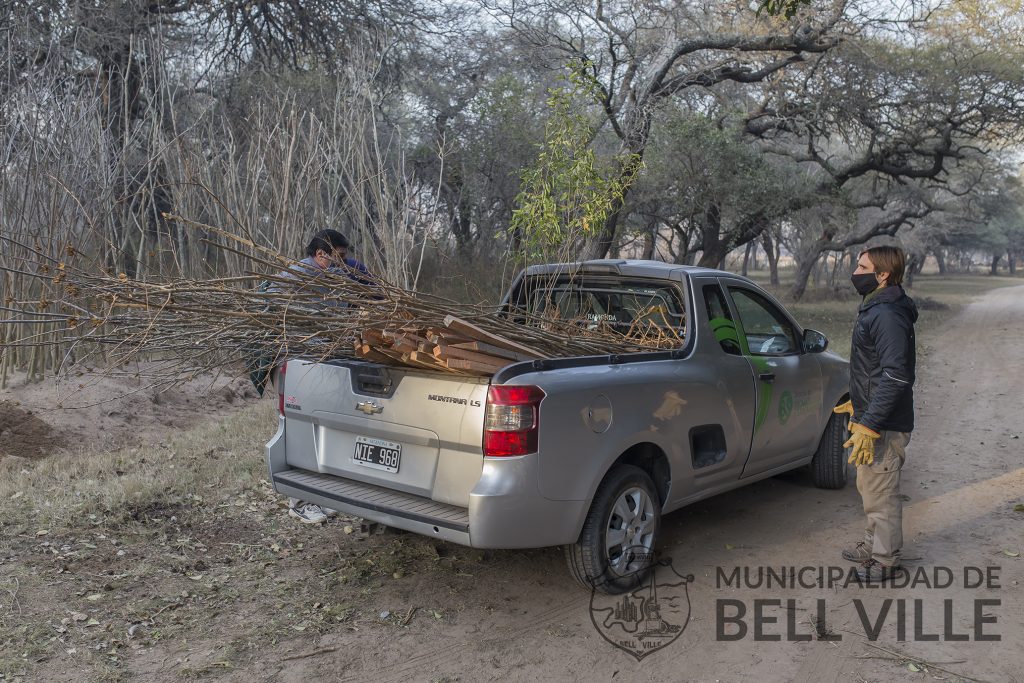 El Vivero Municipal lleva entregados a 81 domicilios, 185 árboles en menos de un mes.