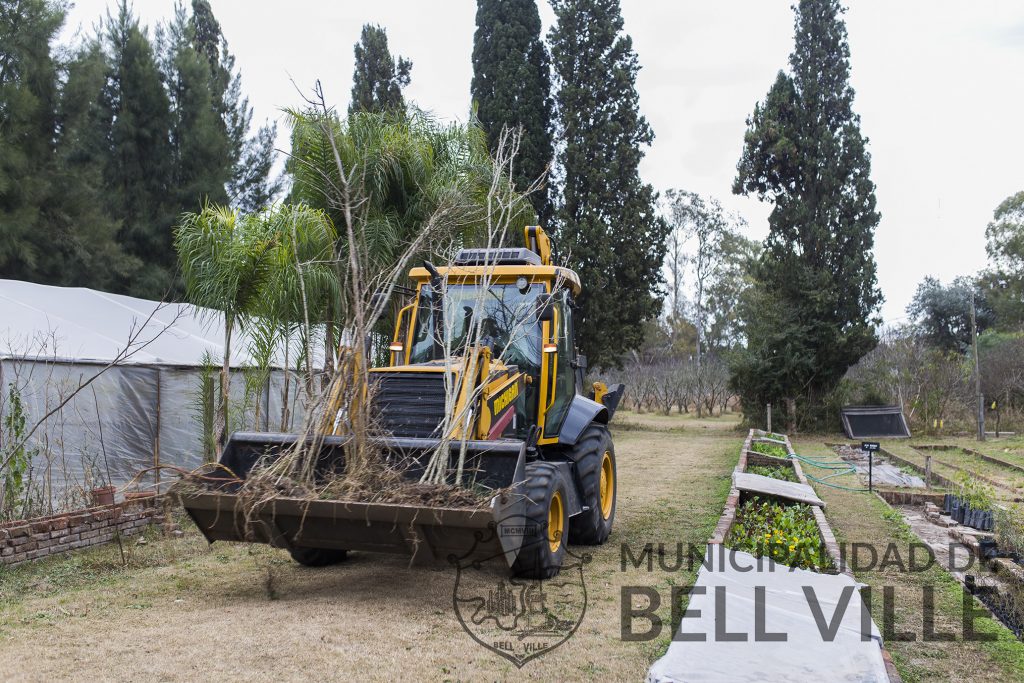 En breve comenzará la entrega domiciliaria gratuita de árboles  para frentes de viviendas.