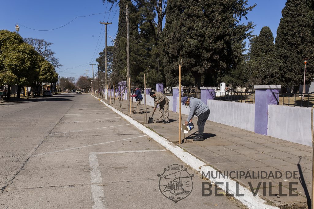 Reponen árboles en el sector externo del Cementerio San Gerónimo.