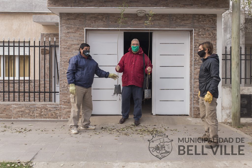 Como todos los viernes, hoy hay entrega gratuita de árboles para frentes de viviendas.