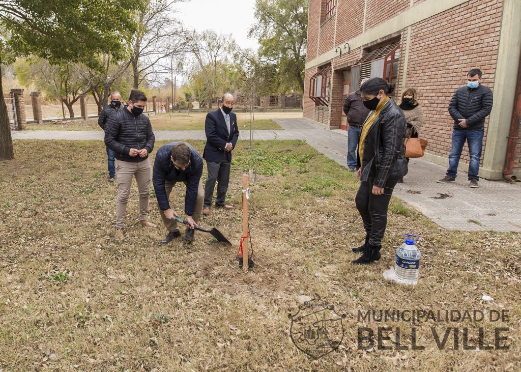 La sombra del algarrobo que cubrió al Gral. Belgrano, se proyecta ahora sobre el ex Colegio Nacional.