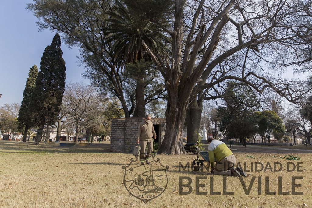 Más árboles del Vivero Municipal para plazas y espacios públicos.