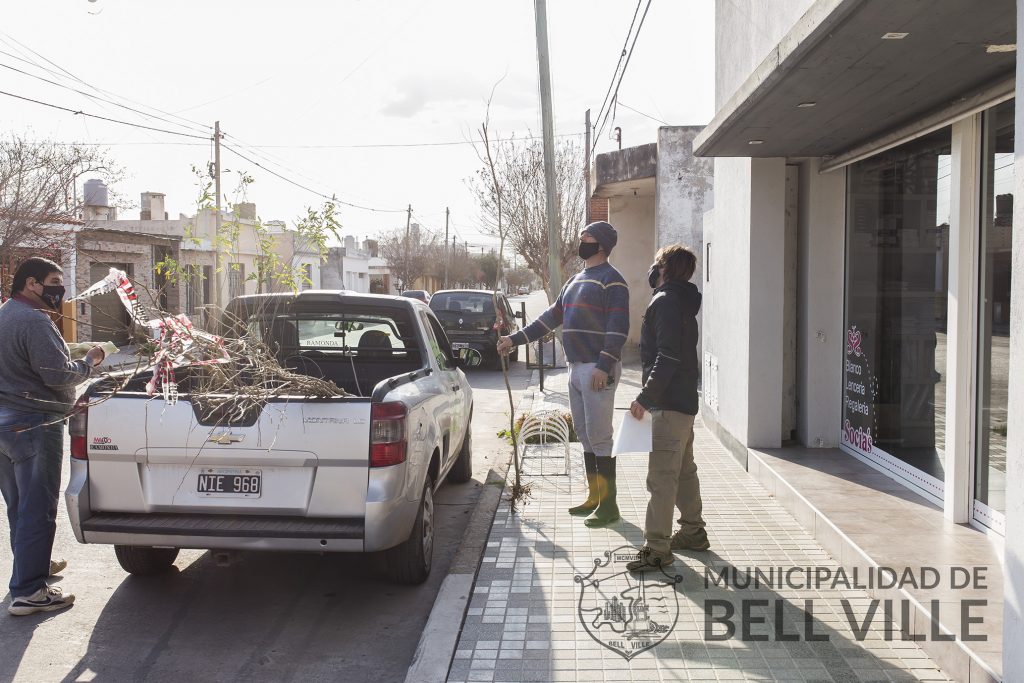 Hoy se entregaron otros 57 ejemplares para el arbolado urbano.