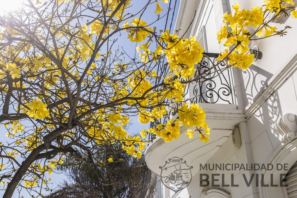 La Primavera dice presente en la ciudad.