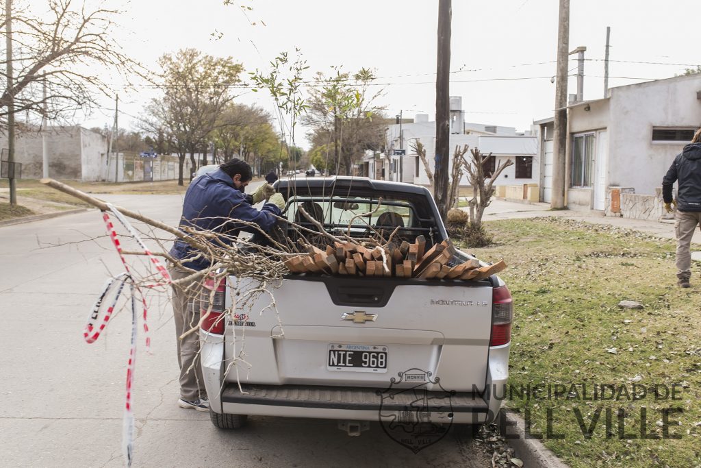 Otros 69 árboles entre el municipio a vecinos interesados en la forestación urbana.