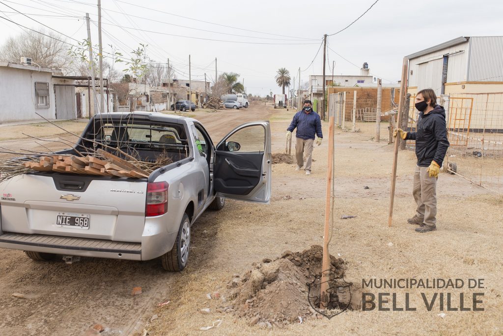 De forma gratuita y domiciliaria, en 60 días el municipio entregó 611 ejemplares para el arbolado urbano.