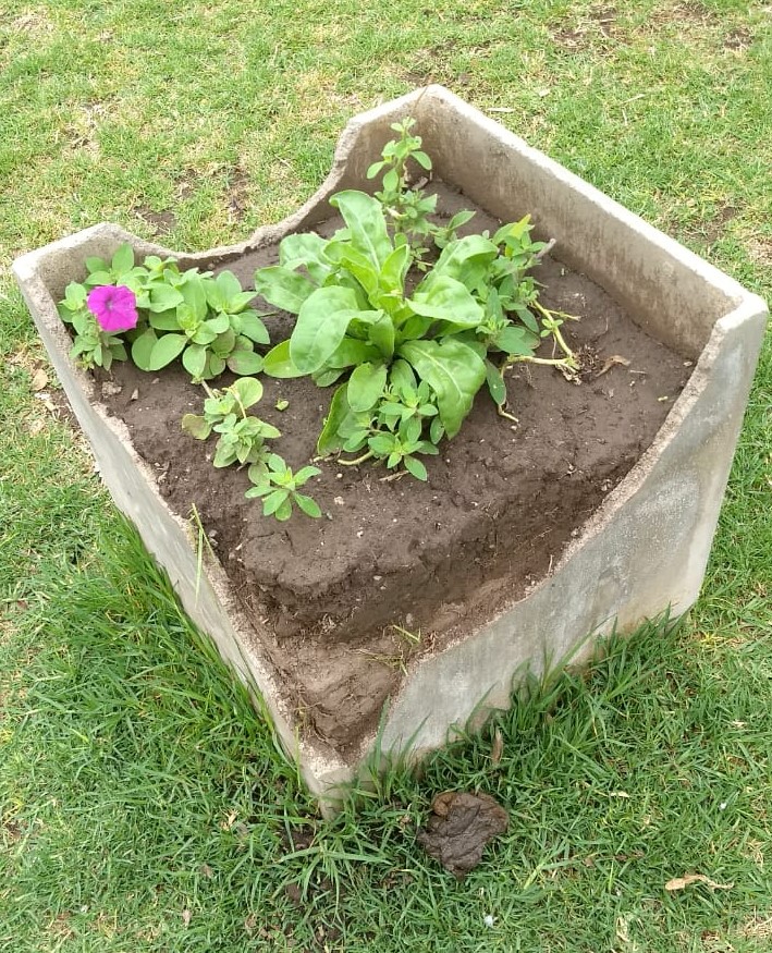 Nuevos destrozos en la Plaza 25 de Mayo.