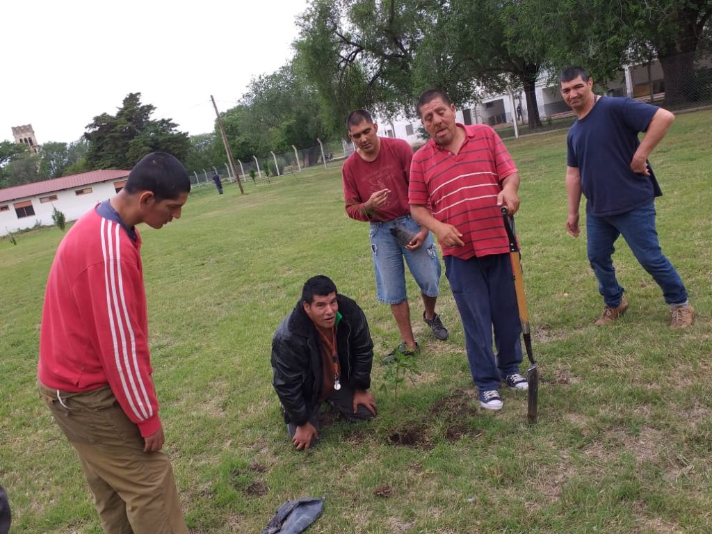 En el Hospital ya se plantaron los árboles donados por el Vivero Municipal.