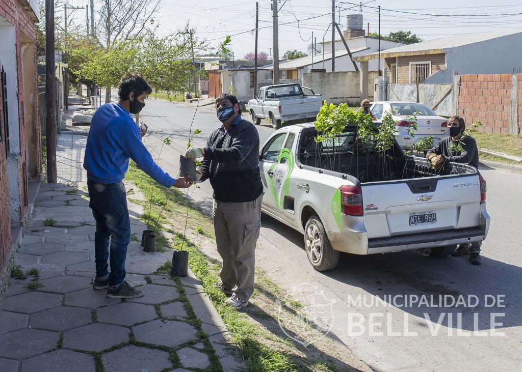 Con la distribución de hoy, en 75 días se entregaron 757 árboles para la forestación urbana.