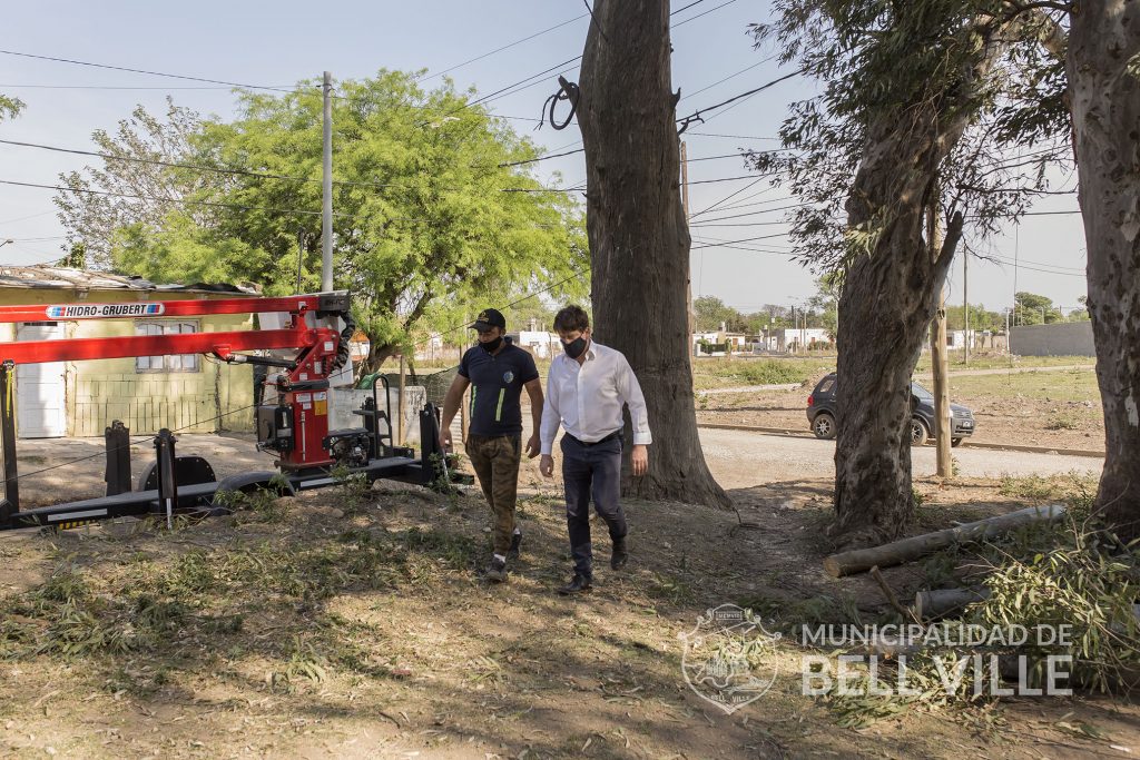 Se extrajo un árbol seco que representaba un peligro para vecinos y sus viviendas.