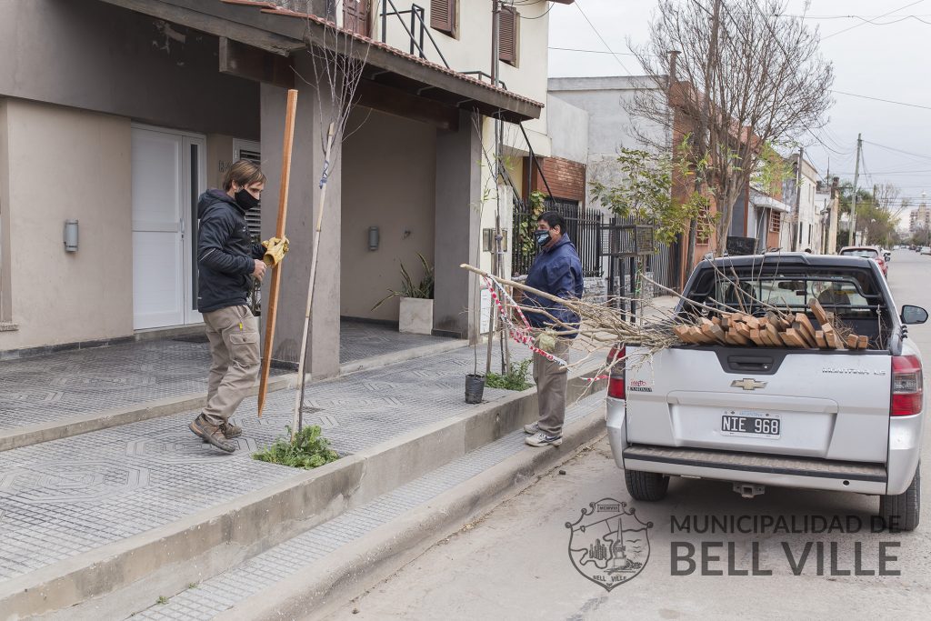 Otros 74 árboles se distribuyeron para veredas de propiedades de la ciudad.