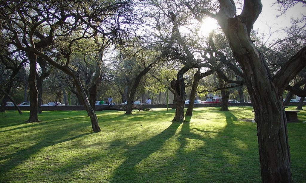 El Ing. Borrageros destacó los avances en el Plan de Manejo y Conservación del Parque Tau.