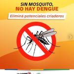 Flyer_VF_Dengue_Descacharreo_2025_1