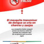 Flyer_VF_Dengue_F1_2025
