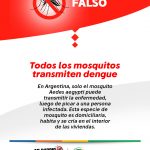 Flyer_VF_Dengue_F2_2025