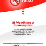 Flyer_VF_Dengue_F3_2025