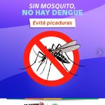 Flyer_VF_Dengue_Picadura_2025_1