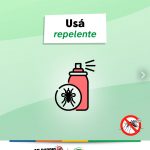 Flyer_VF_Dengue_Picadura_2025_2